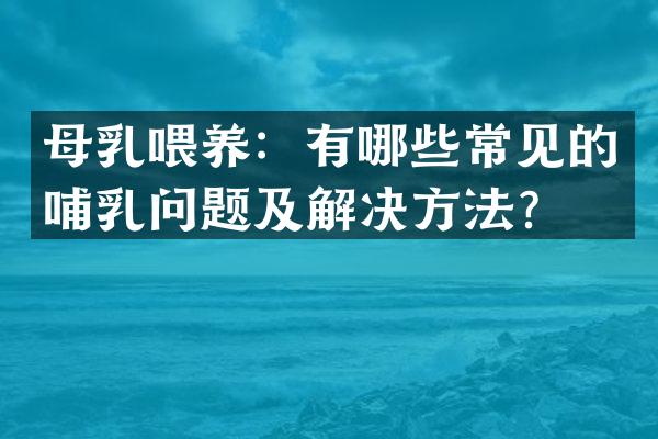 母乳喂养：有哪些常见的哺乳问题及解决方法？