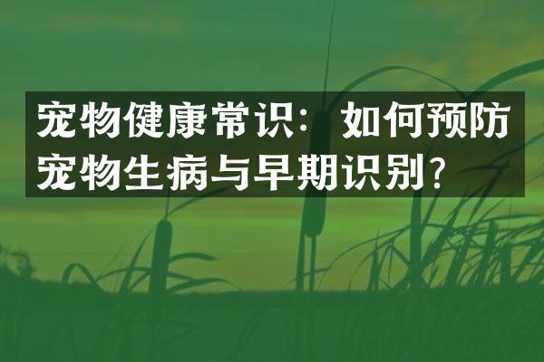 宠物健康常识：如何预防宠物生病与早期识别？