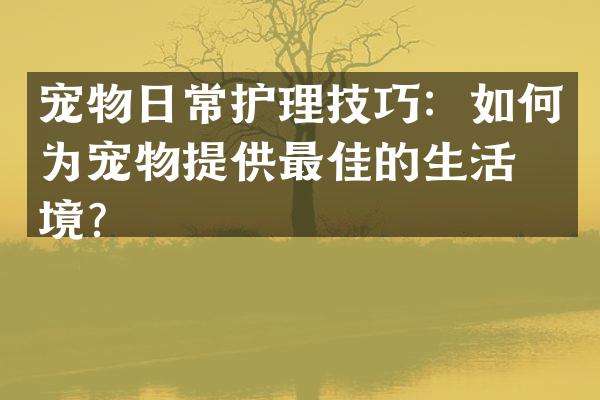 宠物日常护理技巧：如何为宠物提供最佳的生活环境？