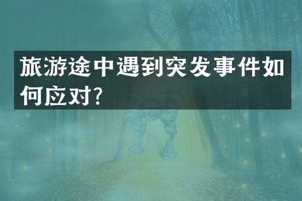 旅游途中遇到突发事件如何应对？