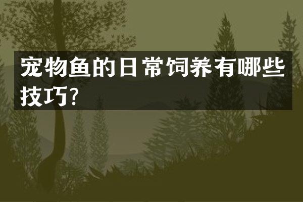 宠物鱼的日常饲养有哪些技巧？