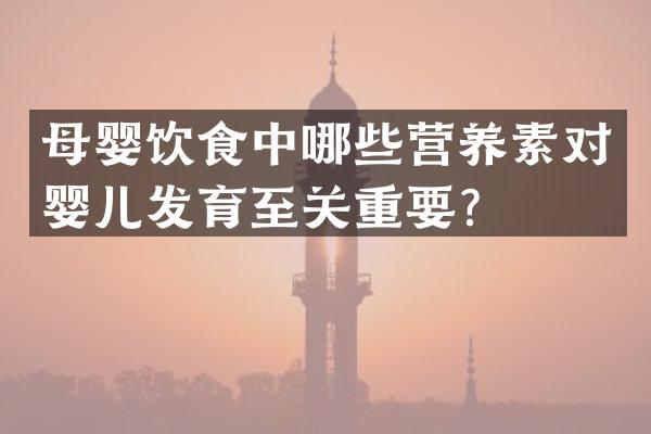 母婴饮食中哪些营养素对婴儿发育至关重要？