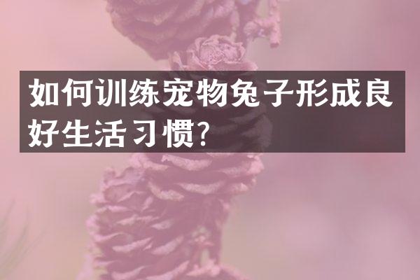 如何训练宠物兔子形成良好生活习惯？