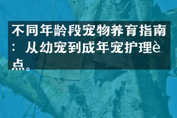 不同年龄段宠物养育指南：从幼宠到成年宠护理要点。