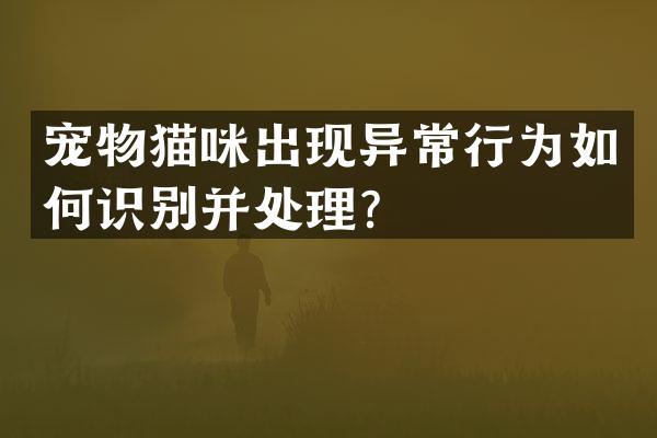 宠物猫咪出现异常行为如何识别并处理？