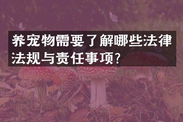 养宠物需要了解哪些法律法规与责任事项？