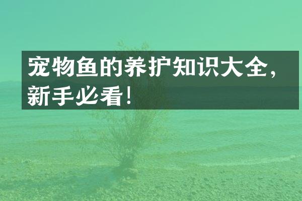 宠物鱼的养护知识大全，新手必看！