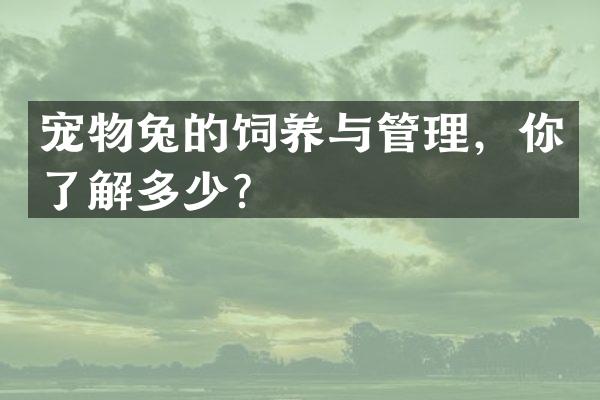 宠物兔的饲养与管理，你了解多少？
