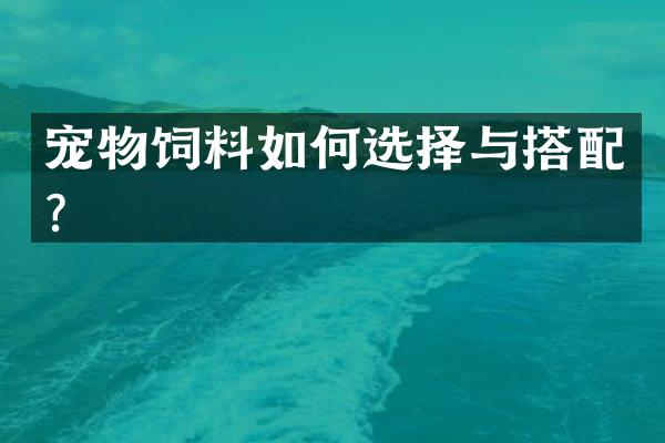 宠物饲料如何选择与搭配？