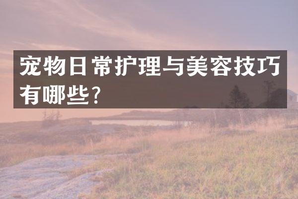 宠物日常护理与美容技巧有哪些？