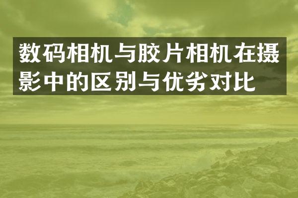 数码相机与胶片相机在摄影中的区别与优劣对比。