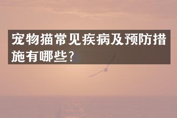 宠物猫常见疾病及预防措施有哪些？