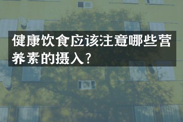 健康饮食应该注意哪些营养素的摄入？