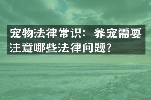 宠物法律常识：养宠需要注意哪些法律问题？