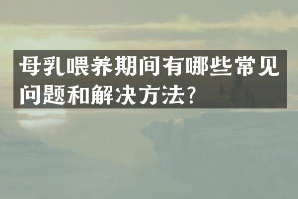 母乳喂养期间有哪些常见问题和解决方法？