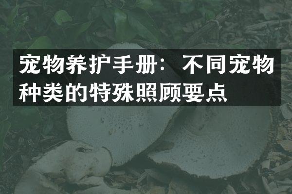 宠物养护手册：不同宠物种类的特殊照顾要点