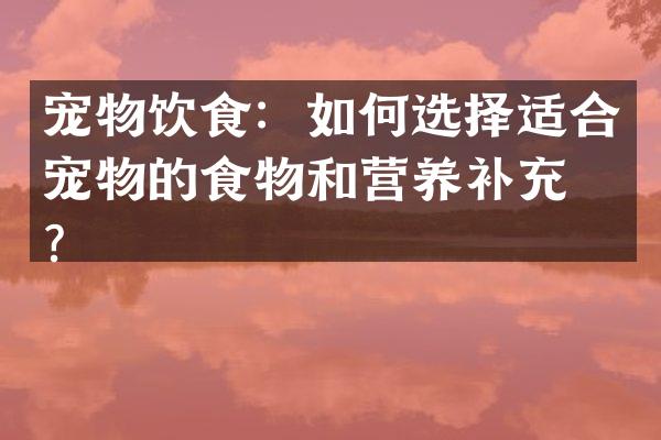 宠物饮食：如何选择适合宠物的食物和营养补充品？