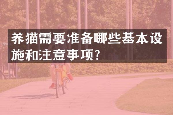 养猫需要准备哪些基本设施和注意事项？