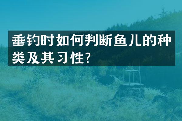 垂钓时如何判断鱼儿的种类及其习性？