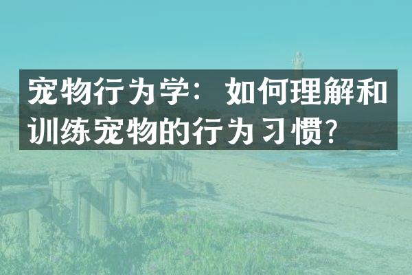 宠物行为学：如何理解和训练宠物的行为习惯？