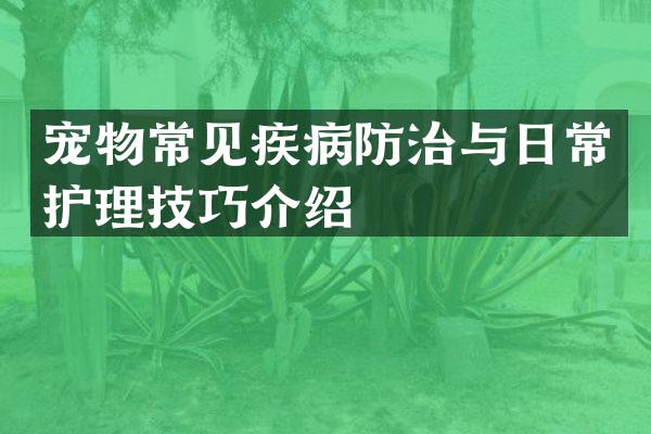 宠物常见疾病防治与日常护理技巧介绍