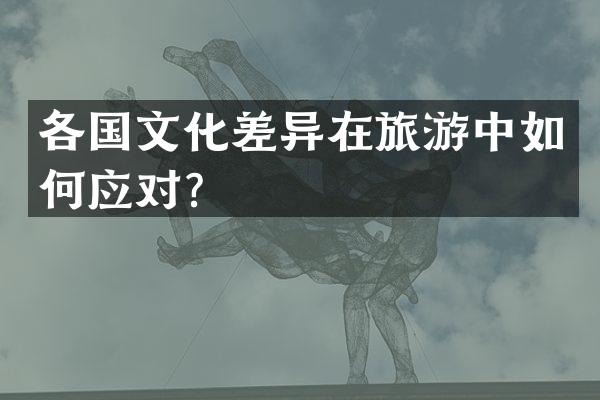 各国文化差异在旅游中如何应对？