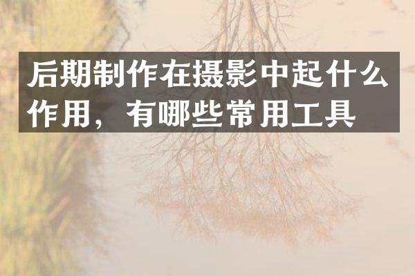 后期制作在摄影中起什么作用，有哪些常用工具？