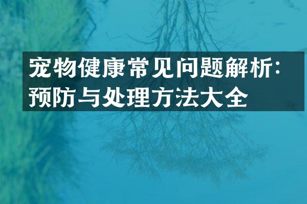 宠物健康常见问题解析：预防与处理方法大全