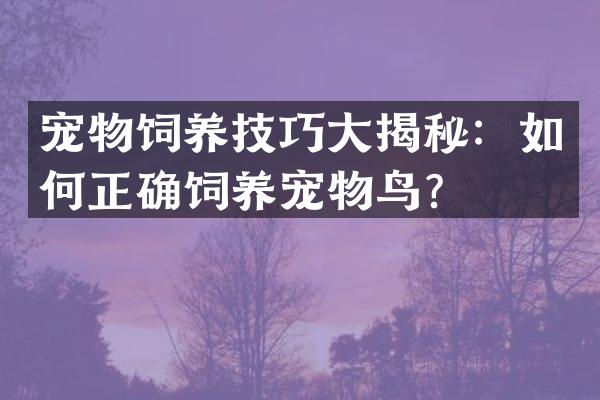 宠物饲养技巧大揭秘：如何正确饲养宠物鸟？