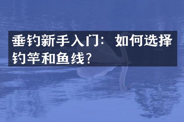 垂钓新手入门：如何选择钓竿和鱼线？