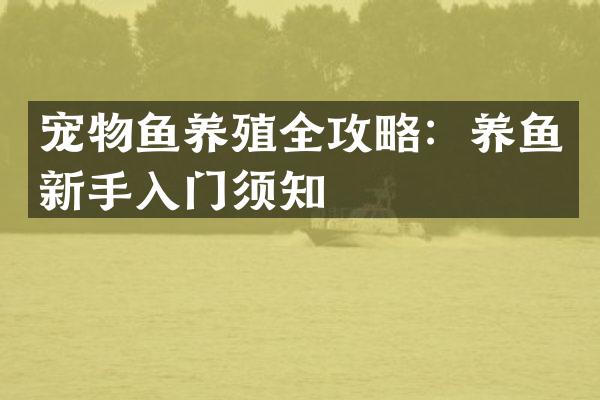 宠物鱼养殖全攻略：养鱼新手入门须知