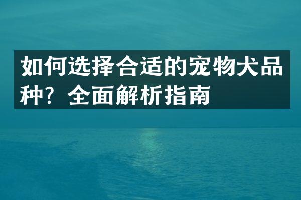 如何选择合适的宠物犬品种？全面解析指南