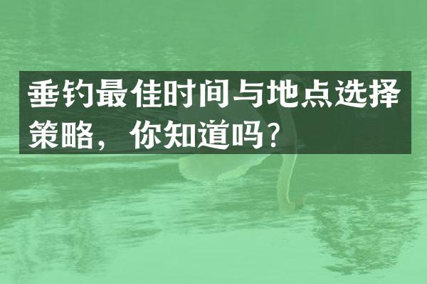 垂钓最佳时间与地点选择策略，你知道吗？