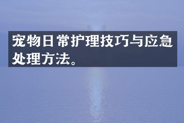 宠物日常护理技巧与应急处理方法。