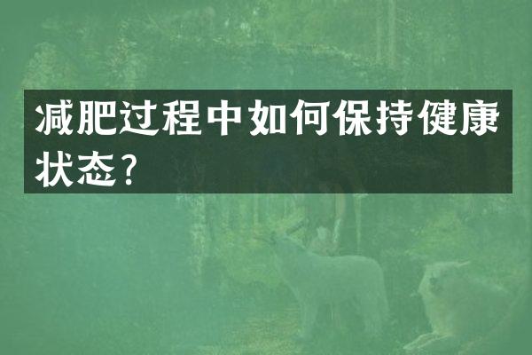 减肥过程中如何保持健康状态？