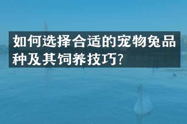 如何选择合适的宠物兔品种及其饲养技巧？