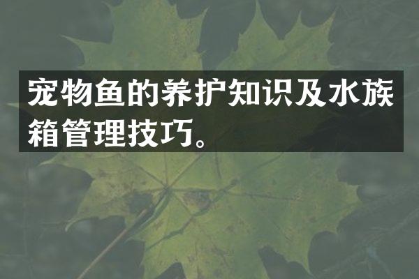 宠物鱼的养护知识及水族箱管理技巧。