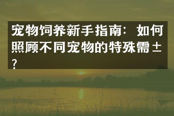 宠物饲养新手指南：如何照顾不同宠物的特殊需求？