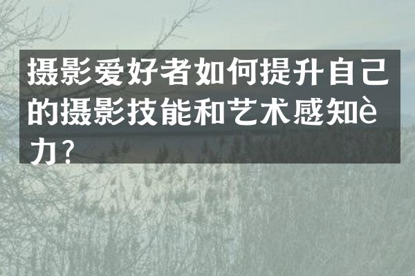 摄影爱好者如何提升自己的摄影技能和艺术感知能力？
