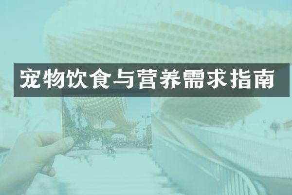 宠物饮食与营养需求指南