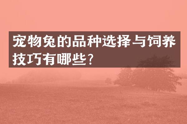 宠物兔的品种选择与饲养技巧有哪些？