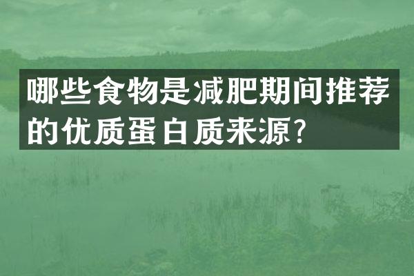哪些食物是减肥期间推荐的优质蛋白质来源？