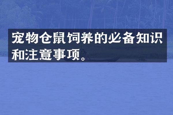 宠物仓鼠饲养的必备知识和注意事项。
