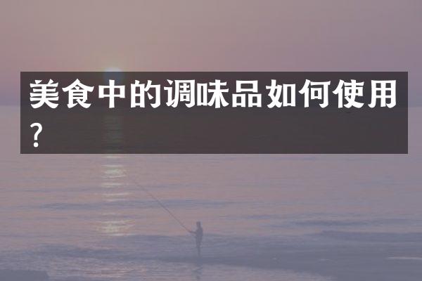 美食中的调味品如何使用？