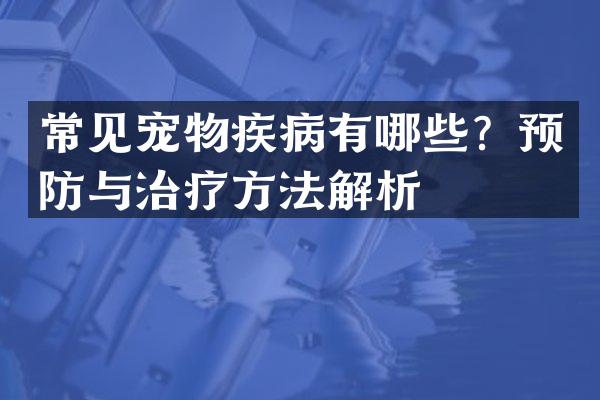 常见宠物疾病有哪些？预防与治疗方法解析