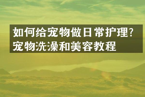 如何给宠物做日常护理？宠物洗澡和美容教程