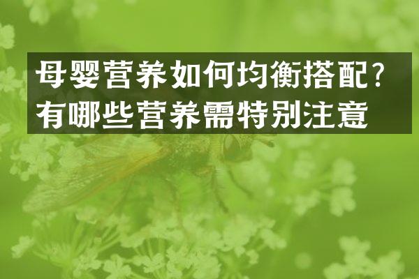 母婴营养如何均衡搭配？有哪些营养需特别注意？