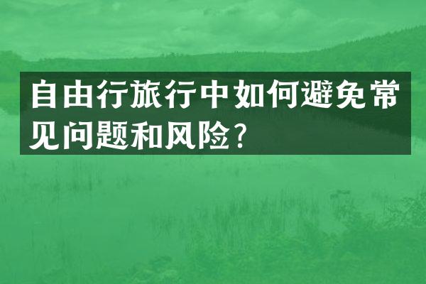 自由行旅行中如何避免常见问题和风险？
