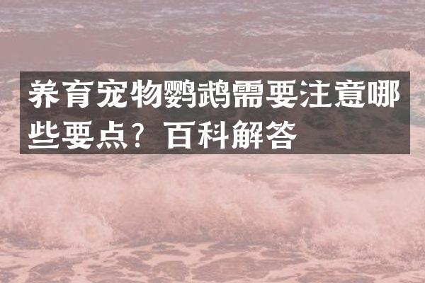 养育宠物鹦鹉需要注意哪些要点？百科解答