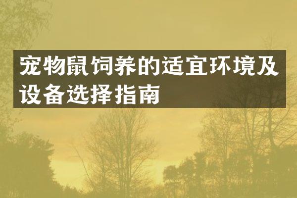 宠物鼠饲养的适宜环境及设备选择指南